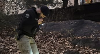 Unraveling the Mystery: FBI Offers Reward as Police Hunt for Gunman in CEO Murder Case