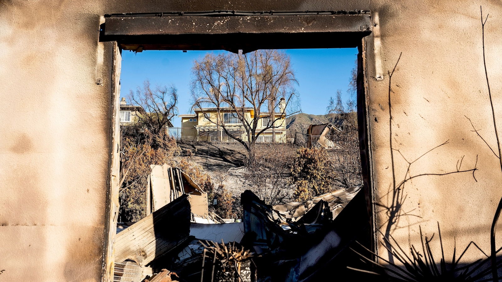 la-wildfires-resilience