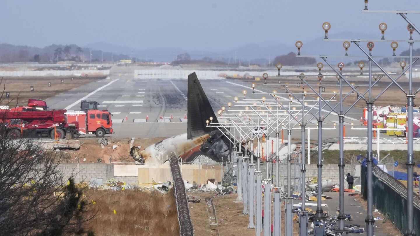 south-korea-plane-crash-bird-remains