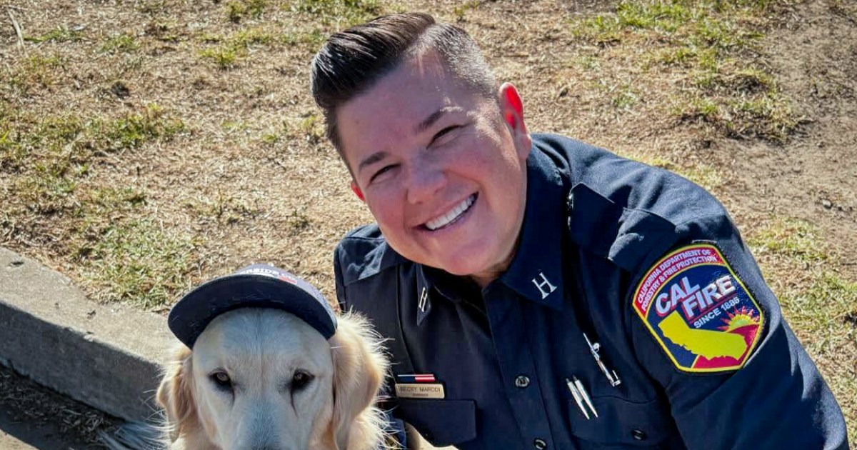 fugitive-stabbing-firefighter