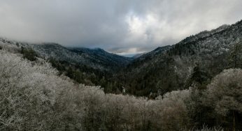 Tragic Discovery: Cherished 73-Year-Old Volunteer and Hiker Found Deceased in the Great Smoky Mountains
