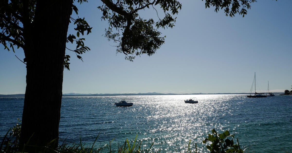 shark-attack-missing-fisherman-australia