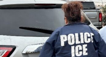 Texas Bakery Owners Arrested: The Hidden Costs of Employing Undocumented Workers