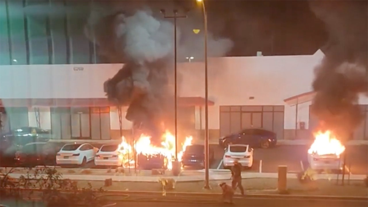 domestic-terrorism-tesla-drivers
