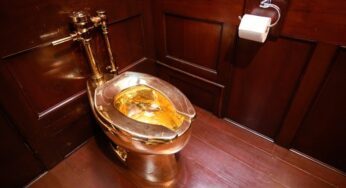 The Unbelievable Heist: How a Gang Stole a Golden Toilet