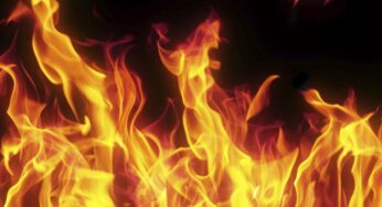 Carolinas in Crisis: Wildfires Erupt, Prompting Urgent Evacuations