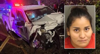Collision Course: Florida Officer Injured in Patrol Car Crash Involving Undocumented Driver