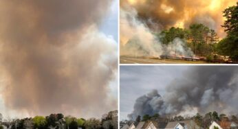 Massive NJ Wildfire Forces Evacuations and Shuts Down Parkway: What You Need to Know
