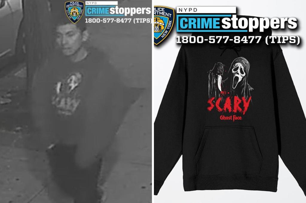 nyc-queens-assault-knifepoint