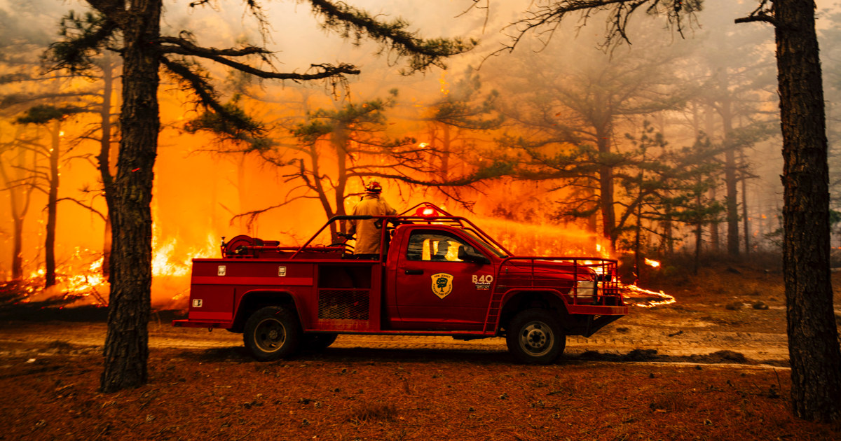 arson-new-jersey-wildfire-crisis