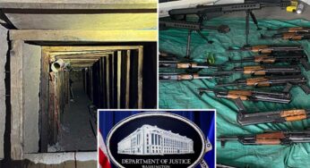 Unraveling the Shadows: Mexican National Charged Amid Cartel Terror Designation