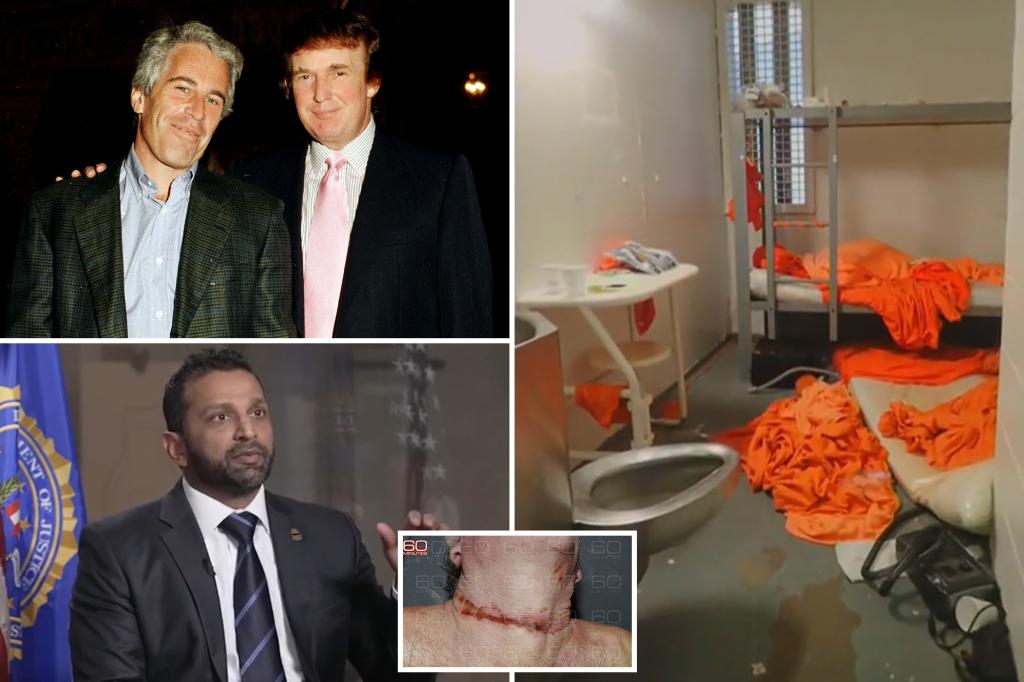 epstein-brother-challenges-fbi-suicide