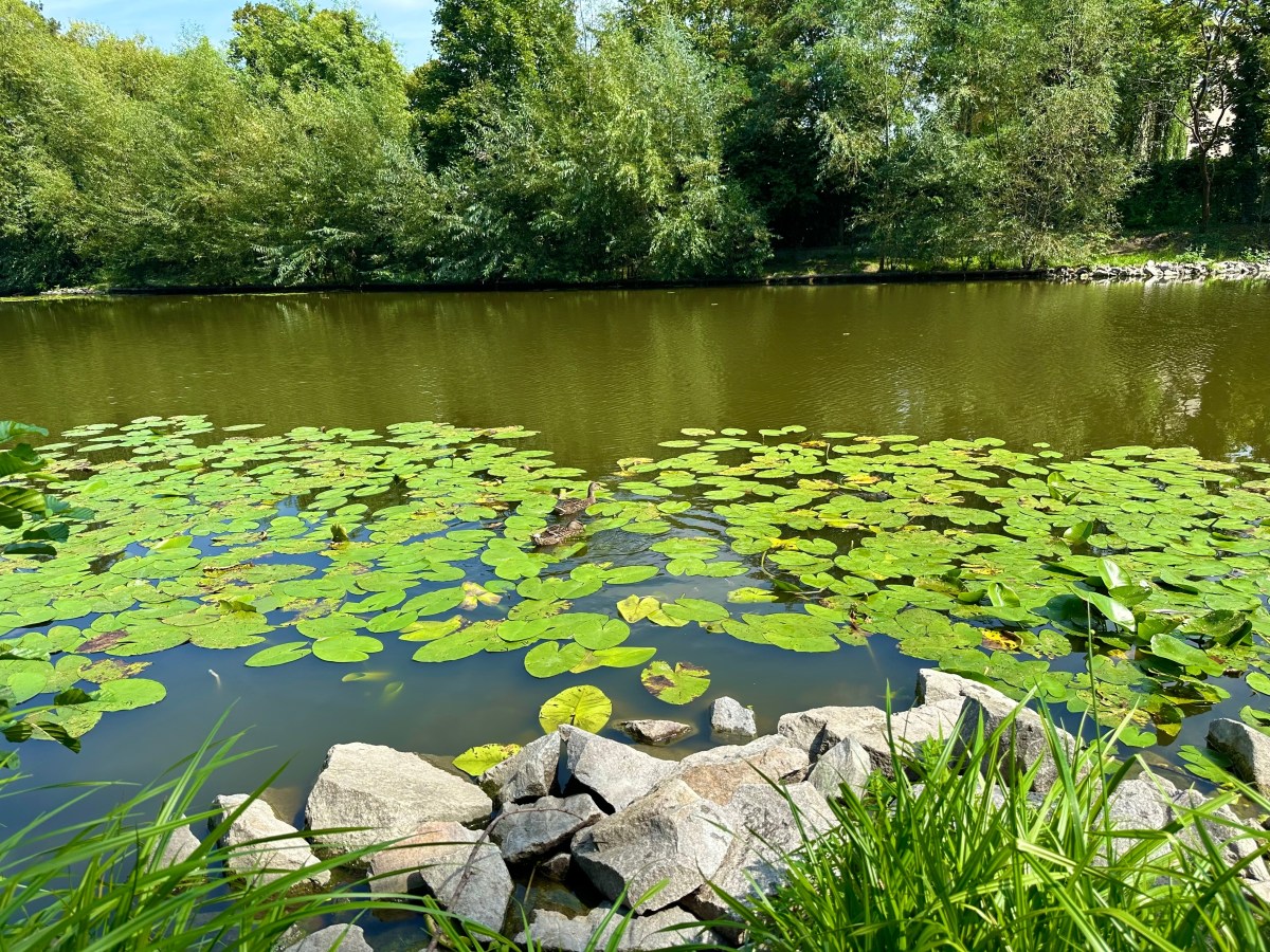 texas-accident-lawn-mower-drowning