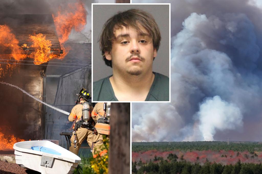 wildfire-teen-charged-nj